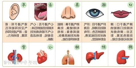 五官 五行